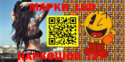 шишки Заволжье