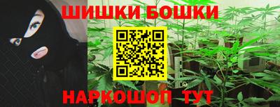 гидра Заводоуковск