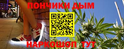 гидра Заводоуковск