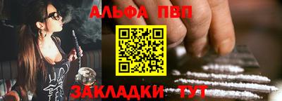 шишки Заволжье