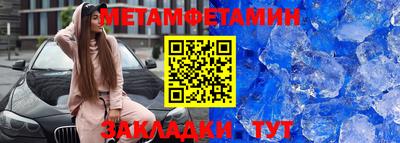 шишки Заволжье