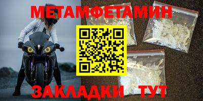 шишки Заволжье